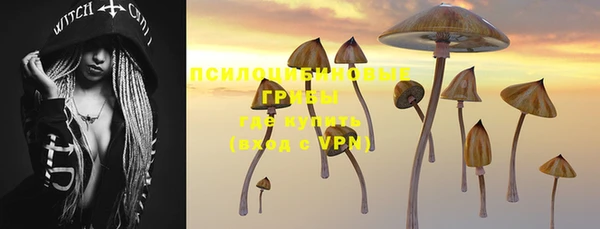 кокаин премиум Белокуриха