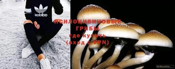 мдпв Баксан